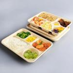 Eco Friendly Biodegradable Sugarcane Bagasse Pulp Paper Take Away Hot Food