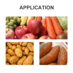 25 Bag / Min Carrots Sweet Potatoes Strapping Machine Fully Automatic