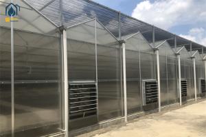 Wholesale High Insulating Polycarbonate Agriculture Greenhouses Farming Polyhouse from china suppliers