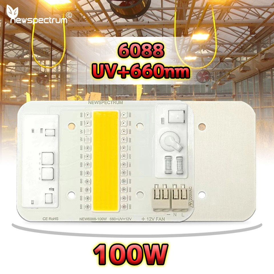 60mm High Power Cob