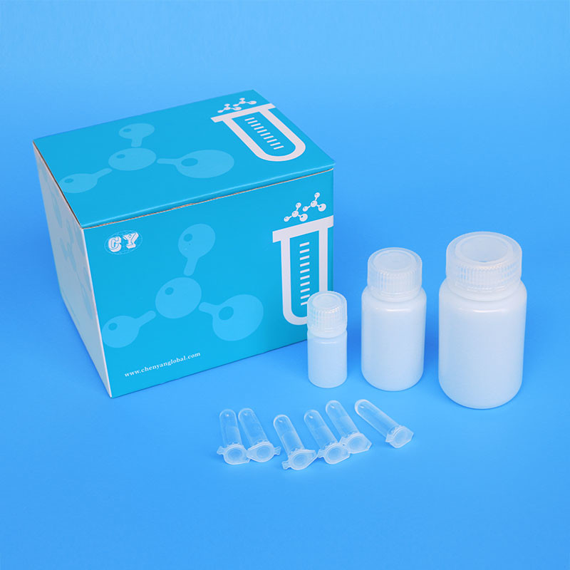 Iclean Medical Laboratory DNA Extraction Kits For Purification Isolation