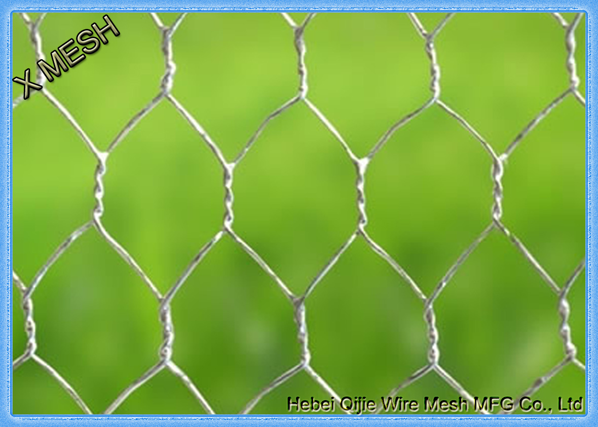 galvanized hexagonal wire mesh-G0002