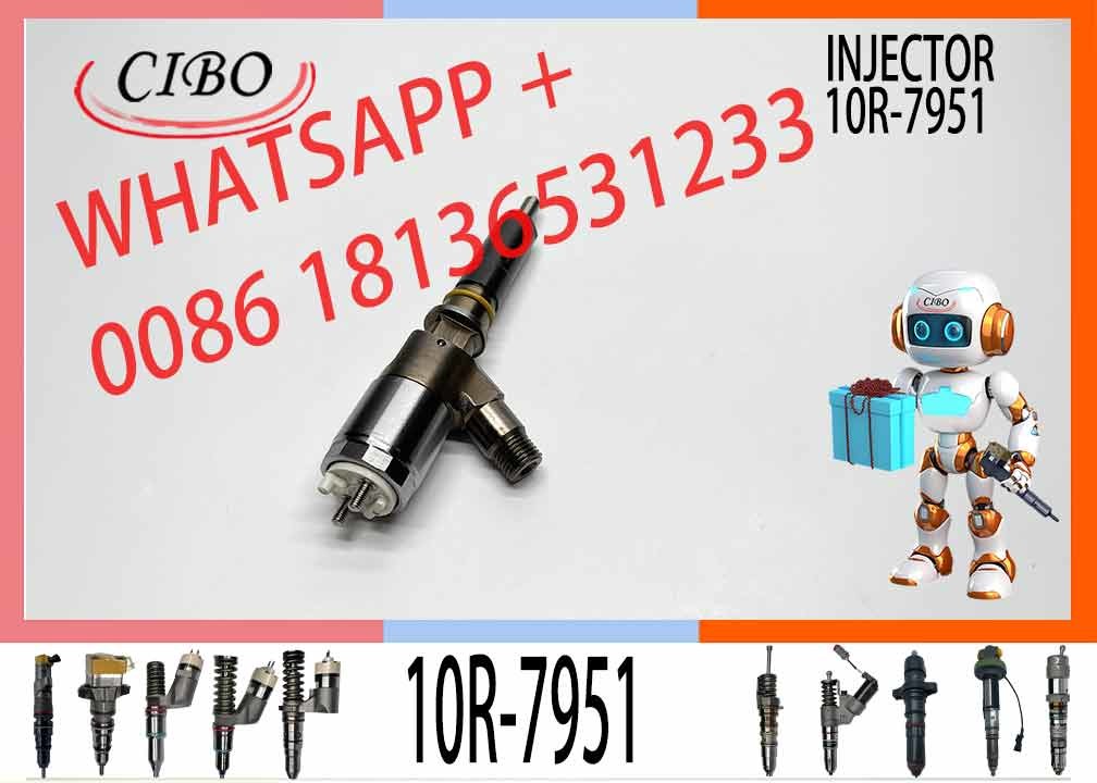 C+ For Excavator Injector Assy 10R-7951 2645A717 10R-7675 2645A743 317-2300 32F61-00062 32F61-00014 32F61-00022