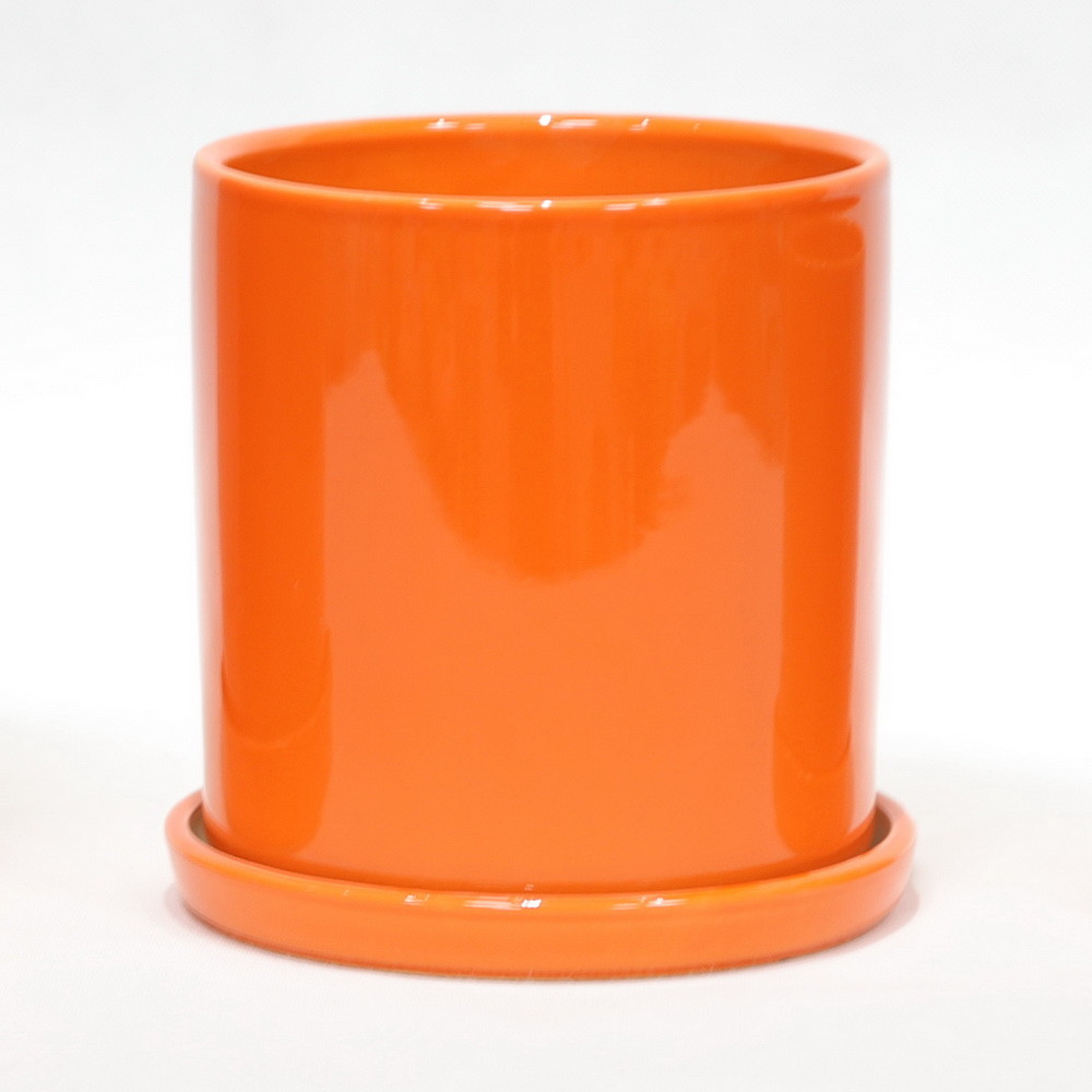 Discover The Best Selection Of Ceramic Pots For Your Plants Affordable Prices