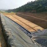 0.2mm-3mm Thickness HDPE/LLDPE/LDPE Geomembrane/Pond Liner for Water Treatment