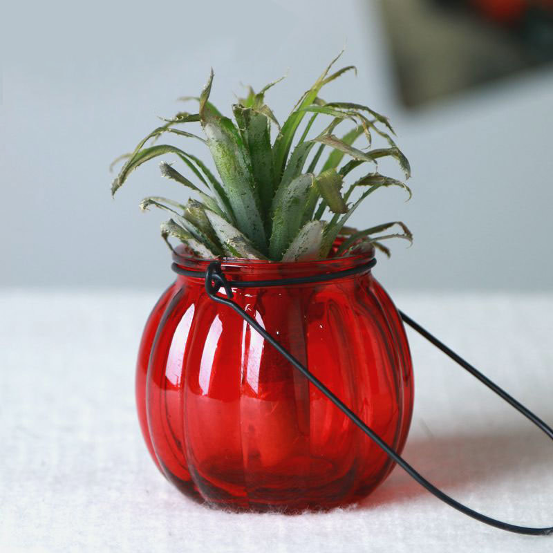 Individual Pumpkin Hanging Basket Decorative Flower Vase