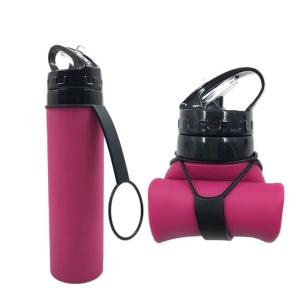 Wholesale Food Grade Collapsible Travel Water Bottle Leak Proof 20 Ounces Without BPA from china suppliers