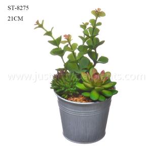 Wholesale Elegant Artificial Succulent Arrangement Bulk Production Vibrant Color from china suppliers