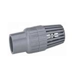 ASTM/DIN/ASNZ/JIS Standard 4 Inch Plastic Foot Valves for Pump Moulding Service