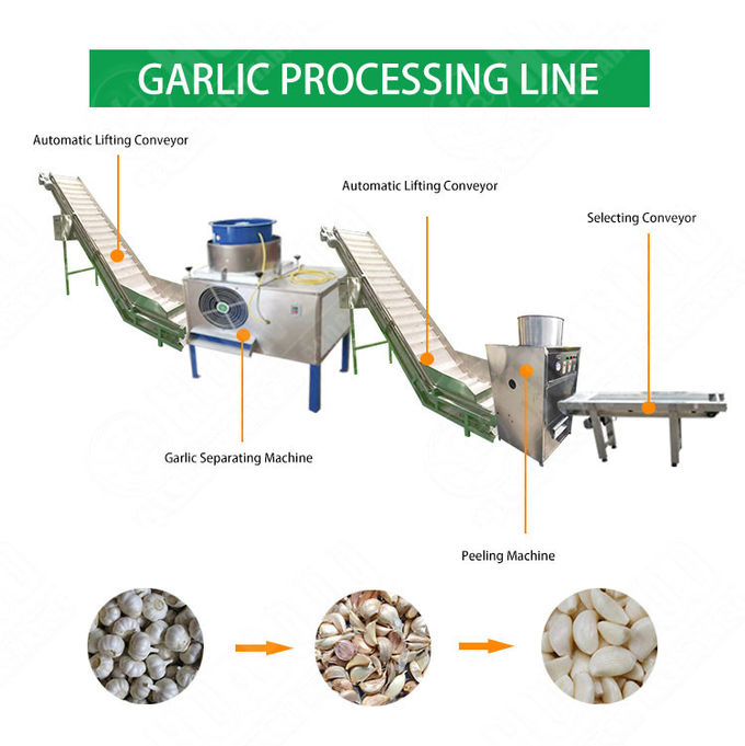 Multi Functional Wide Output Range Long Working Life Garlic Processing Line