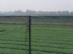 250 Meters 100% HDPE Insect Mesh Netting For Vegetable Greenhouse Agricultural