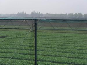 Wholesale 250 Meters 100% HDPE Insect Mesh Netting For Vegetable Greenhouse Agricultural from china suppliers