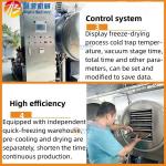 Commercial Pet Food Vacuum Freeze Drying Machine with Silicone Oil/Electric