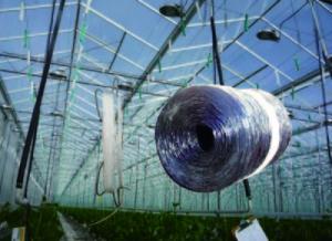 Wholesale Thread Packing 1200m/Kg 1500m/Kg Polypropylene Tomato Twine UV Treated from china suppliers