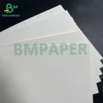 180gsm + 18gsm Single Side PE Coated White Cup Paper Bowls Paper