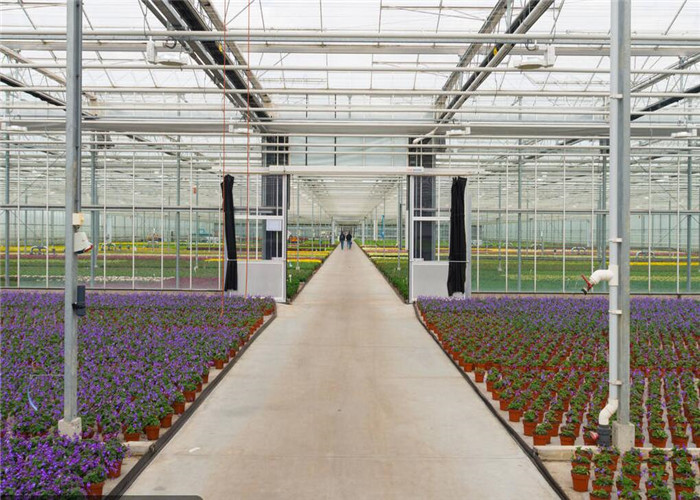 Silver Color Garden Glass Greenhouse With Enhanced Insulation Performance
