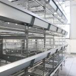 90 - 256 Birds Battery Cage System , Durable Enriched Cages For Laying Hens