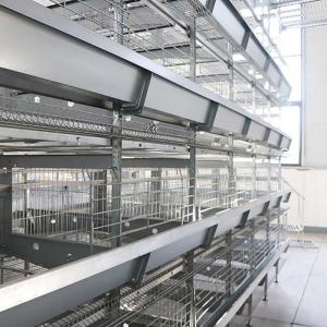 Wholesale 90 - 256 Birds Battery Cage System , Durable Enriched Cages For Laying Hens from china suppliers