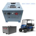 48 Volt Golf Cart Batteries Watering System Club Car Ezgo Yamaha