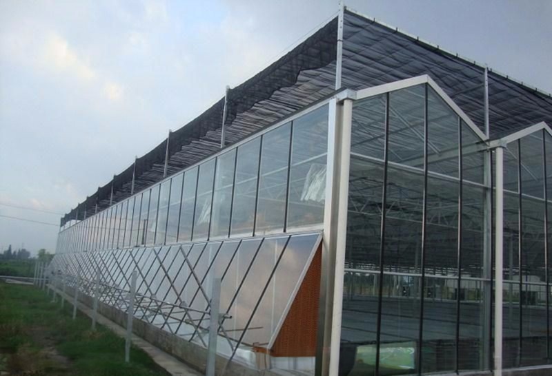 Hot Galvanized Steel Frame Structure Venlo Glass Greenhouses for Vegetable Agriculture