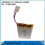 GP603450 Cell for Consumer Electronics and Medical Applications 1200mAh 3.7V UL