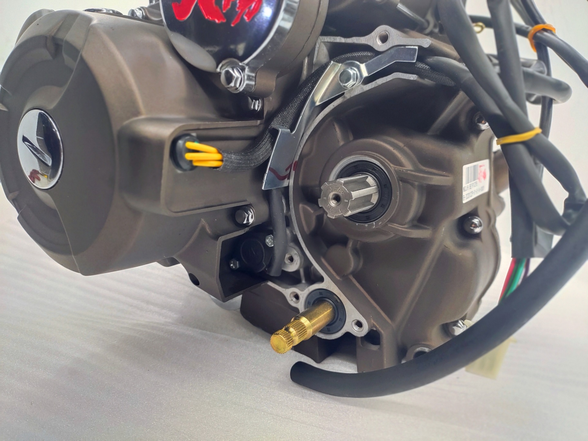 Max.Power 10.2/8000 Gasoline Tricycle Engines Assembly from DAYANG for Chinese Motorcycles