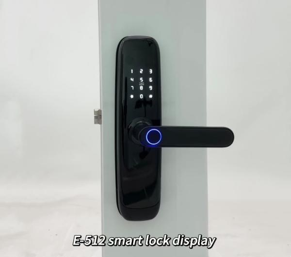 OEM E-512 Tuya Password Biometric Electronic Fingerprint Wifi Door Smart Digital