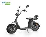 Fat Tire 2 Wheel Electric Scooter With Optional Lithium Battery LT018