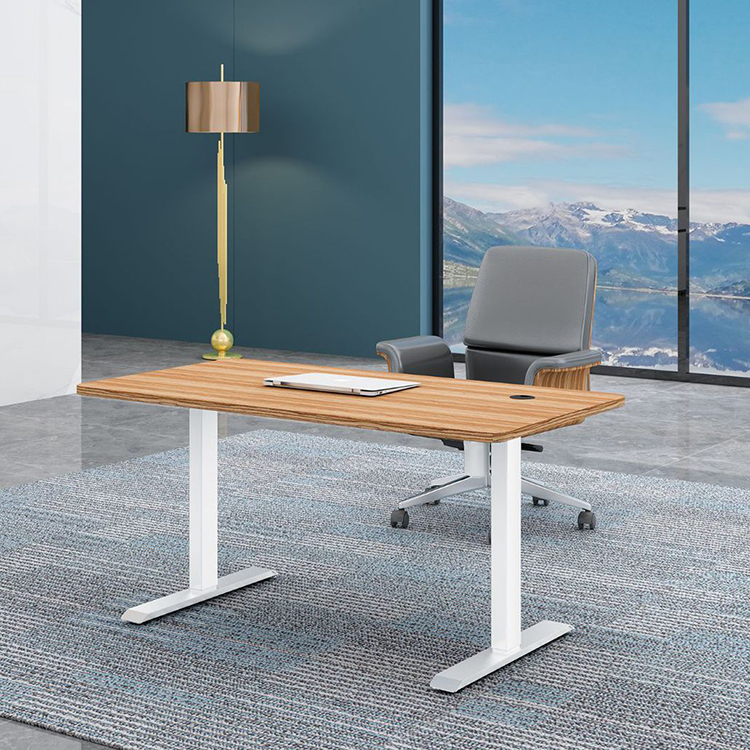 Commercial Custom Dual Motor Electric Height Adjustable Lift Coffee Table for Smart Office
