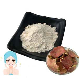 Wholesale High Purity Pomegranate Extract Ellagic Acid 95% 98% 99% Anti Cancer from china suppliers
