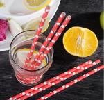 Natural Biodegradable Safe Disposable Drinking Paper Straws Eco Friendly Food