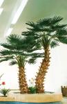 Washington Coconut Artificial Landscape Trees Hotel Restaurant Anti UV Long