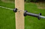 ISO9001 Dia60*750 470g Electric Fence Spring