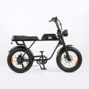 Wholesale 48V 1000W Fat Tyre Adult Electric Bicycle Vintage Mountain E Bike with 20 Inch Wheel from china suppliers