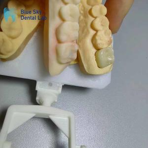 Wholesale Corrosion Resistant Zirconia Crowns Natural Looking Zirconia Teeth from china suppliers