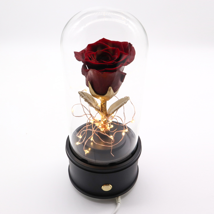 Beautiful Glass Dome Rose 65*44*65CM Perfect Wedding / Birthday Gift