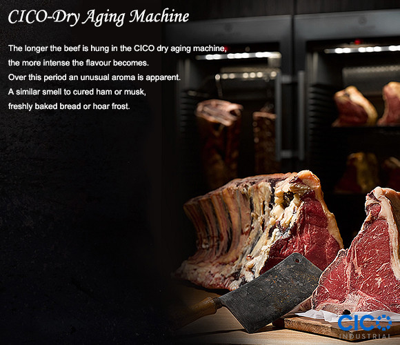 Household Small Dry Age Beef Machine Display Compressor Fridge Ager DA-280A