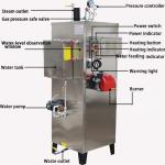 0.7MPa Commercial Oil Fired Steam Boilers 500kg/h For Cooking
