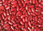 Red Kidney Beans Exported To Yemen