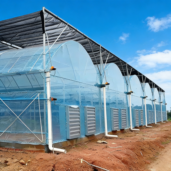 Prefabricated Agricultural Steel Frame Building For Crop Storage Facilities