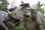 Lifesize Pachyrginosaurus Realistic Animatronic Dinosaur For Kids