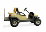 Battery Powered Utility Vehicles / Electric Utility Carts 350A USA Curties