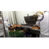 Buy cheap OBaking stainless steel Pastry bread machine ,croissant automatic production from wholesalers