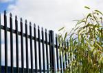 Black powder coated spear top galvanised tubular metal fence