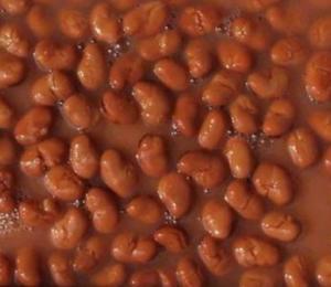 Wholesale Canned Broad Beans from china suppliers
