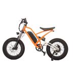 750W Off-Road Electric Fat Tire Bike with 48V 13Ah Lithium Battery and 180kg