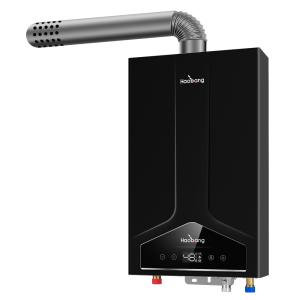 Wholesale 0.02-0.8MPa Water Pressure Forced Exhaust Gas Water Heater with Overheat Protection and Electric Ignition from china suppliers