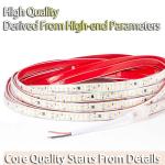 LED Light Strip 24v36v220v Roll 100 Meters Outdoor Waterproof Engineering