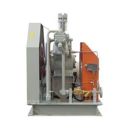 Conomical Practical Factory Direct Sale Nitrogen Gas Booster High Flow Rate Nitrogen Production