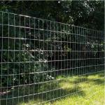 Direct Wholesale Good Quality Wire Mesh Galvanized Bird Cage Brc Welded Wire